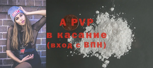 гашик Богородск
