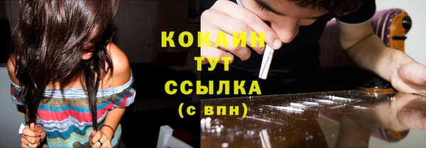 бошки Богородицк