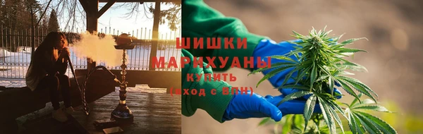 бошки Богородицк