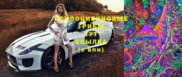 бошки Богородицк