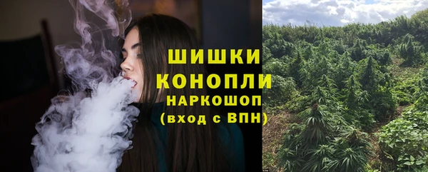 гашик Богородск