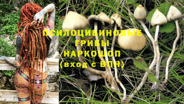 альфа пвп Богданович