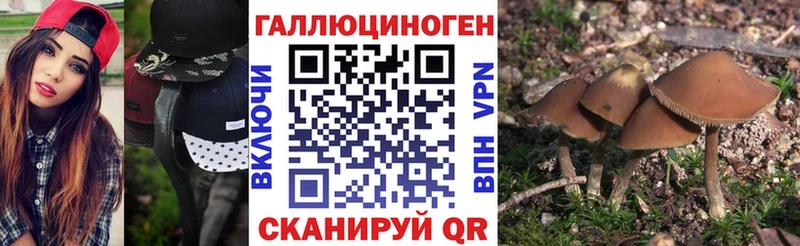как найти закладки  Дорогобуж  Галлюциногенные грибы прущие грибы 